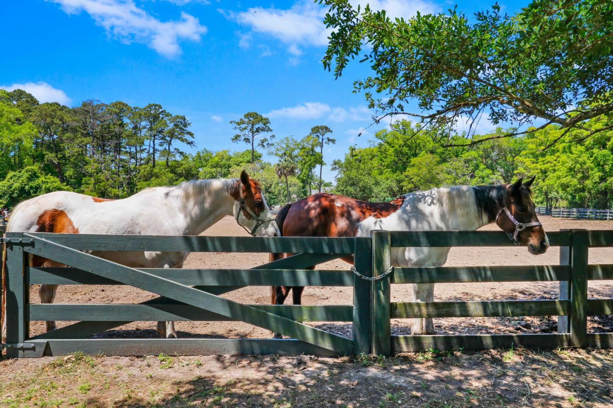 729 Schooner Court Βίλα Hilton Head Island Εξωτερικό φωτογραφία